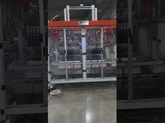 6 মাথা স্বয়ংক্রিয় কার্টন বক্স প্যাকিং মেশিন, 25 বক্স / মিনিট